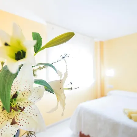 Maribel オ・ペドロウソ