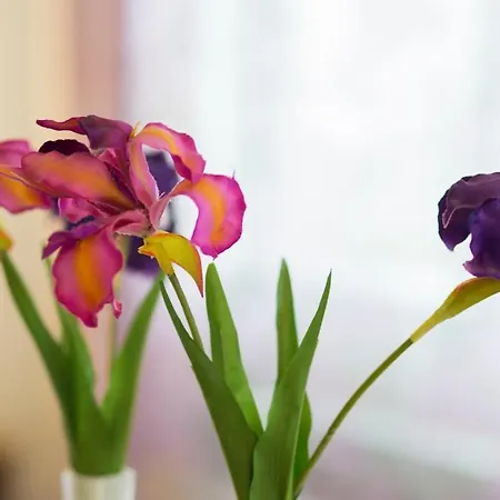 Maribel 3* オ・ペドロウソ