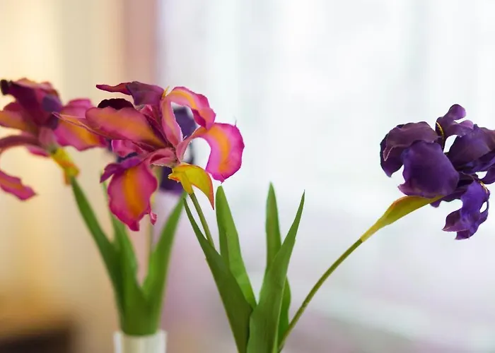 Maribel 3* Педрусо